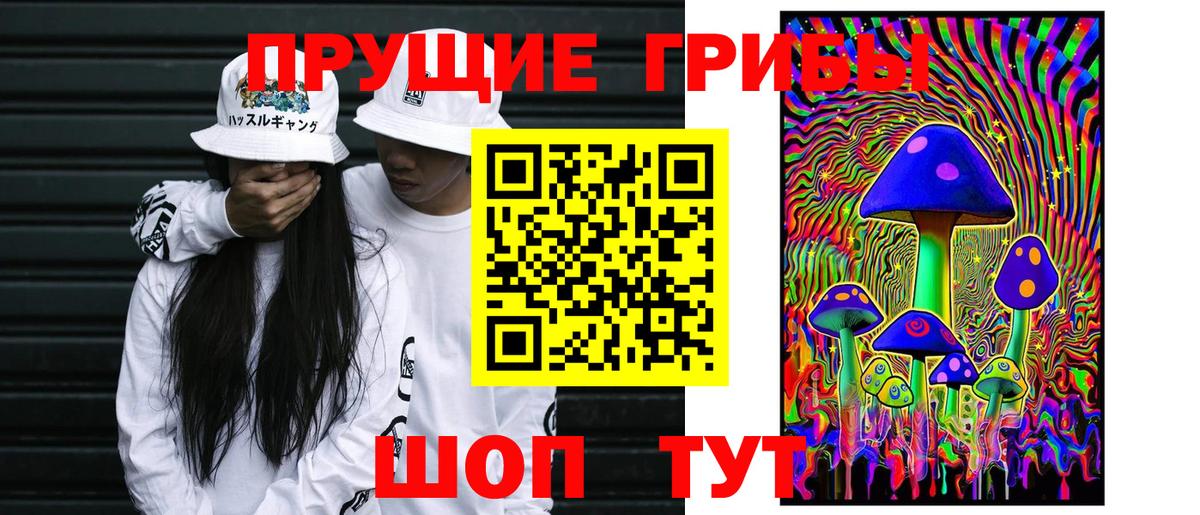 Камень-на-Оби  Псилоцибиновые грибы мухоморы  Вход с VPN 